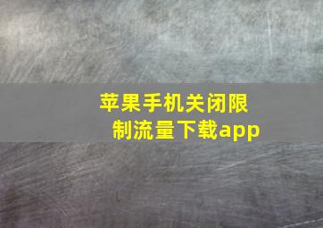 苹果手机关闭限制流量下载app