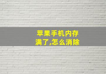 苹果手机内存满了,怎么消除