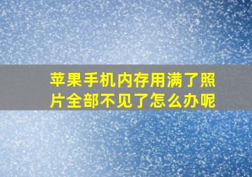 苹果手机内存用满了照片全部不见了怎么办呢