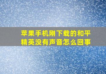 苹果手机刚下载的和平精英没有声音怎么回事