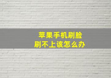 苹果手机刷脸刷不上该怎么办