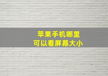 苹果手机哪里可以看屏幕大小