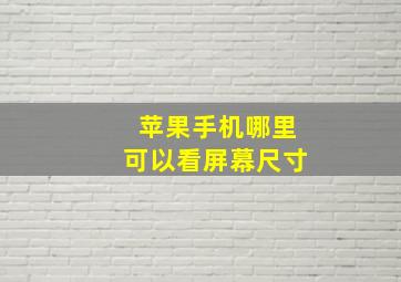 苹果手机哪里可以看屏幕尺寸