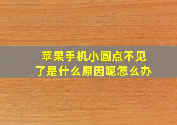 苹果手机小圆点不见了是什么原因呢怎么办