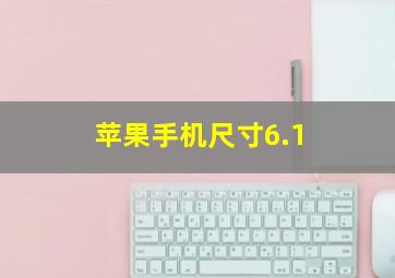 苹果手机尺寸6.1