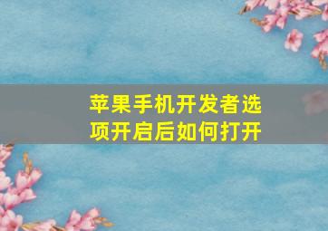 苹果手机开发者选项开启后如何打开