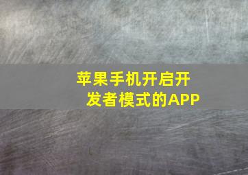 苹果手机开启开发者模式的APP