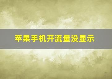 苹果手机开流量没显示