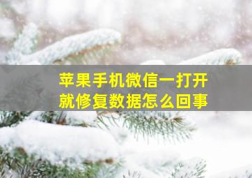 苹果手机微信一打开就修复数据怎么回事