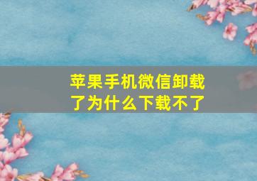 苹果手机微信卸载了为什么下载不了