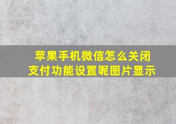 苹果手机微信怎么关闭支付功能设置呢图片显示