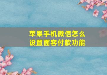 苹果手机微信怎么设置面容付款功能