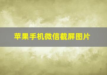 苹果手机微信截屏图片