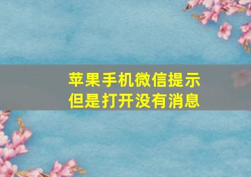 苹果手机微信提示但是打开没有消息