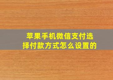 苹果手机微信支付选择付款方式怎么设置的