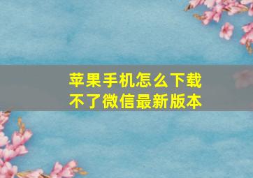 苹果手机怎么下载不了微信最新版本