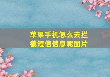 苹果手机怎么去拦截短信信息呢图片