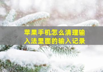 苹果手机怎么清理输入法里面的输入记录