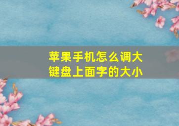 苹果手机怎么调大键盘上面字的大小