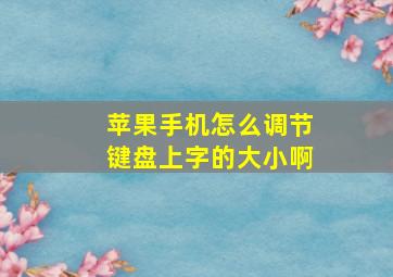 苹果手机怎么调节键盘上字的大小啊