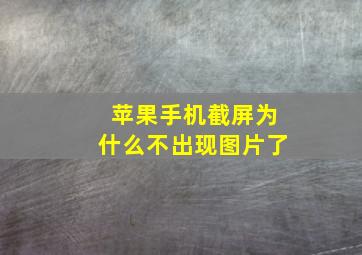 苹果手机截屏为什么不出现图片了