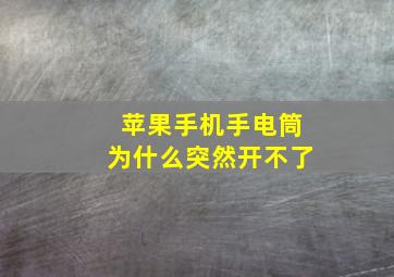 苹果手机手电筒为什么突然开不了