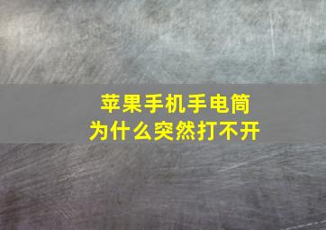 苹果手机手电筒为什么突然打不开