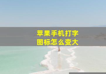 苹果手机打字图标怎么变大