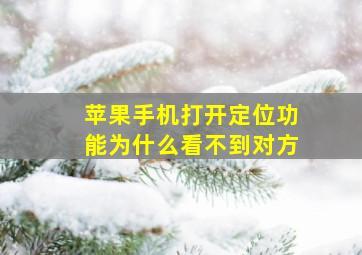 苹果手机打开定位功能为什么看不到对方