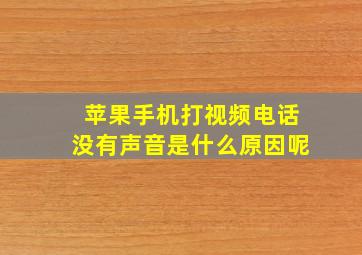 苹果手机打视频电话没有声音是什么原因呢