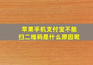 苹果手机支付宝不能扫二维码是什么原因呢