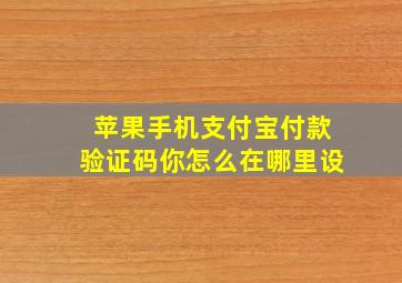 苹果手机支付宝付款验证码你怎么在哪里设