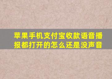 苹果手机支付宝收款语音播报都打开的怎么还是没声音