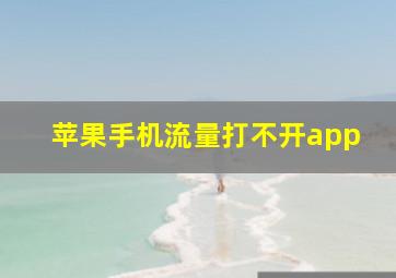 苹果手机流量打不开app