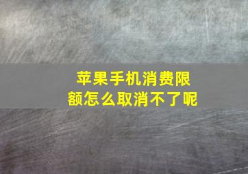 苹果手机消费限额怎么取消不了呢