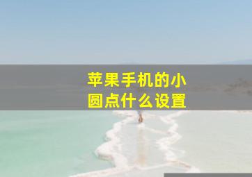 苹果手机的小圆点什么设置