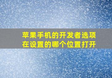 苹果手机的开发者选项在设置的哪个位置打开