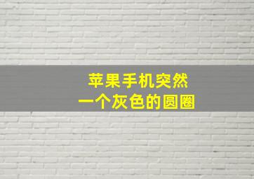 苹果手机突然一个灰色的圆圈