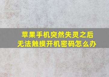 苹果手机突然失灵之后无法触摸开机密码怎么办