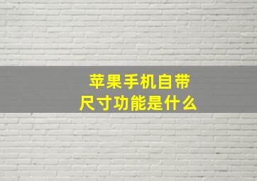 苹果手机自带尺寸功能是什么