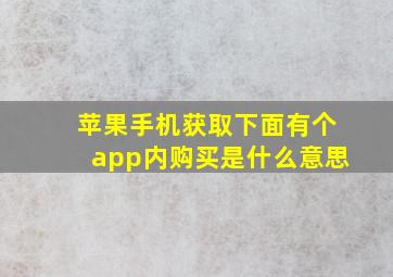 苹果手机获取下面有个app内购买是什么意思