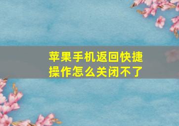 苹果手机返回快捷操作怎么关闭不了