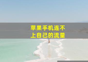 苹果手机连不上自己的流量