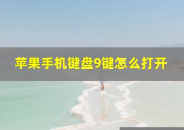 苹果手机键盘9键怎么打开