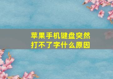 苹果手机键盘突然打不了字什么原因