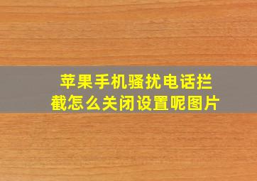 苹果手机骚扰电话拦截怎么关闭设置呢图片