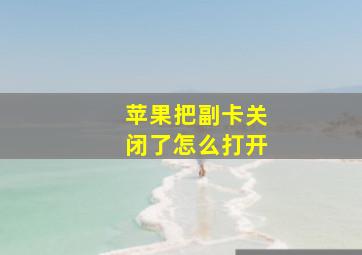 苹果把副卡关闭了怎么打开