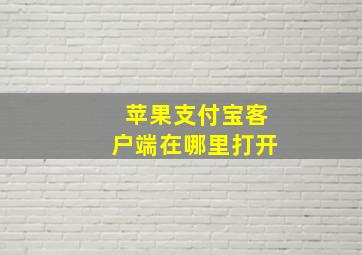 苹果支付宝客户端在哪里打开