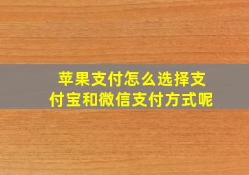 苹果支付怎么选择支付宝和微信支付方式呢