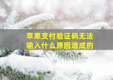 苹果支付验证码无法输入什么原因造成的